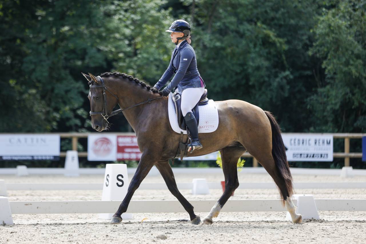 cheval pure race espagnole 