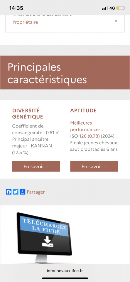 Jument selle francais 7 ans 