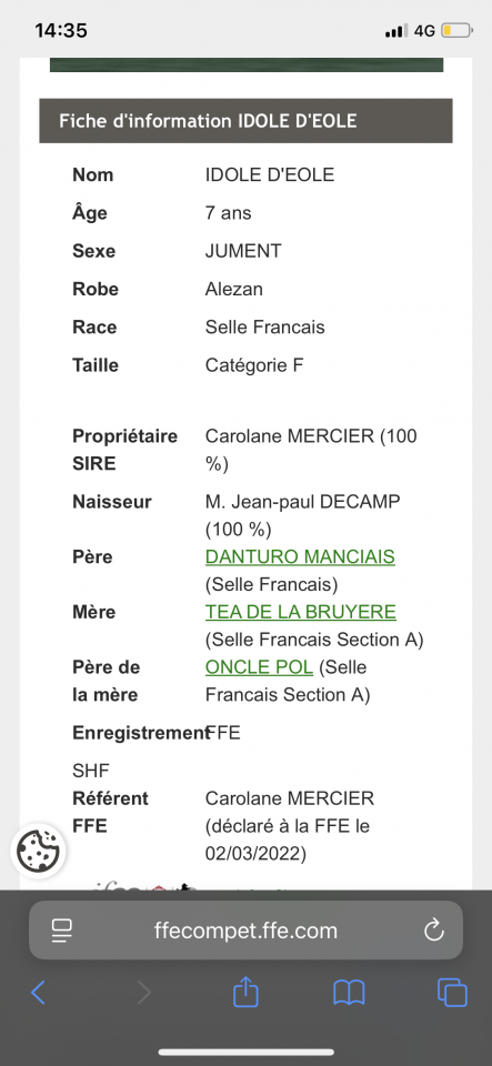 Jument selle francais 7 ans 