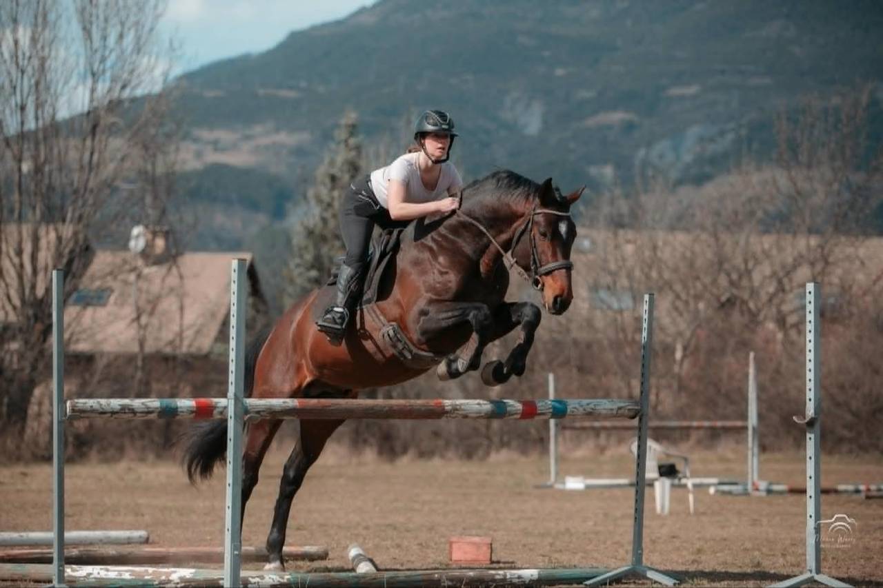 Superbe Entier - 5 ans - CCE