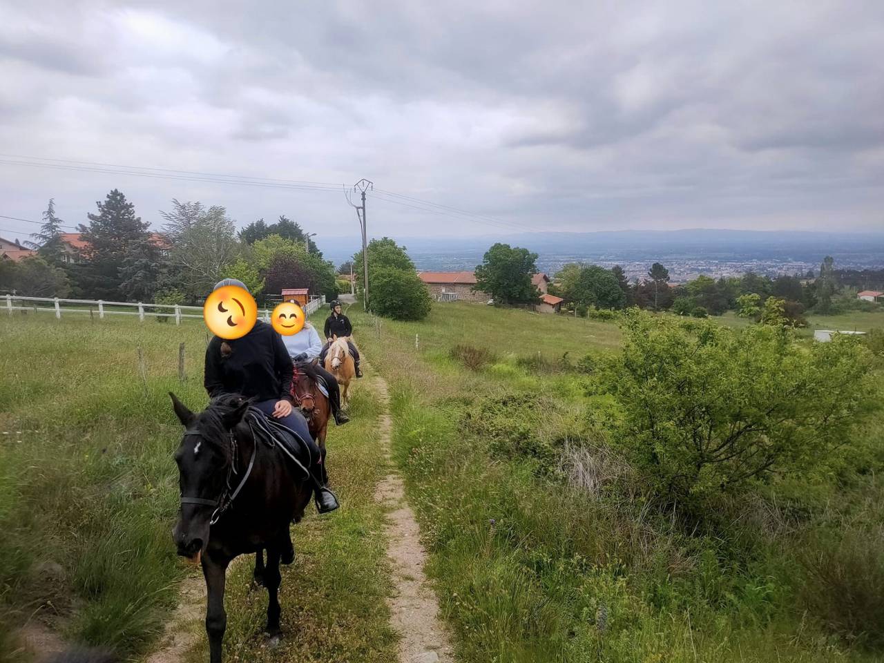 Hongre né en 2014 pour loisir