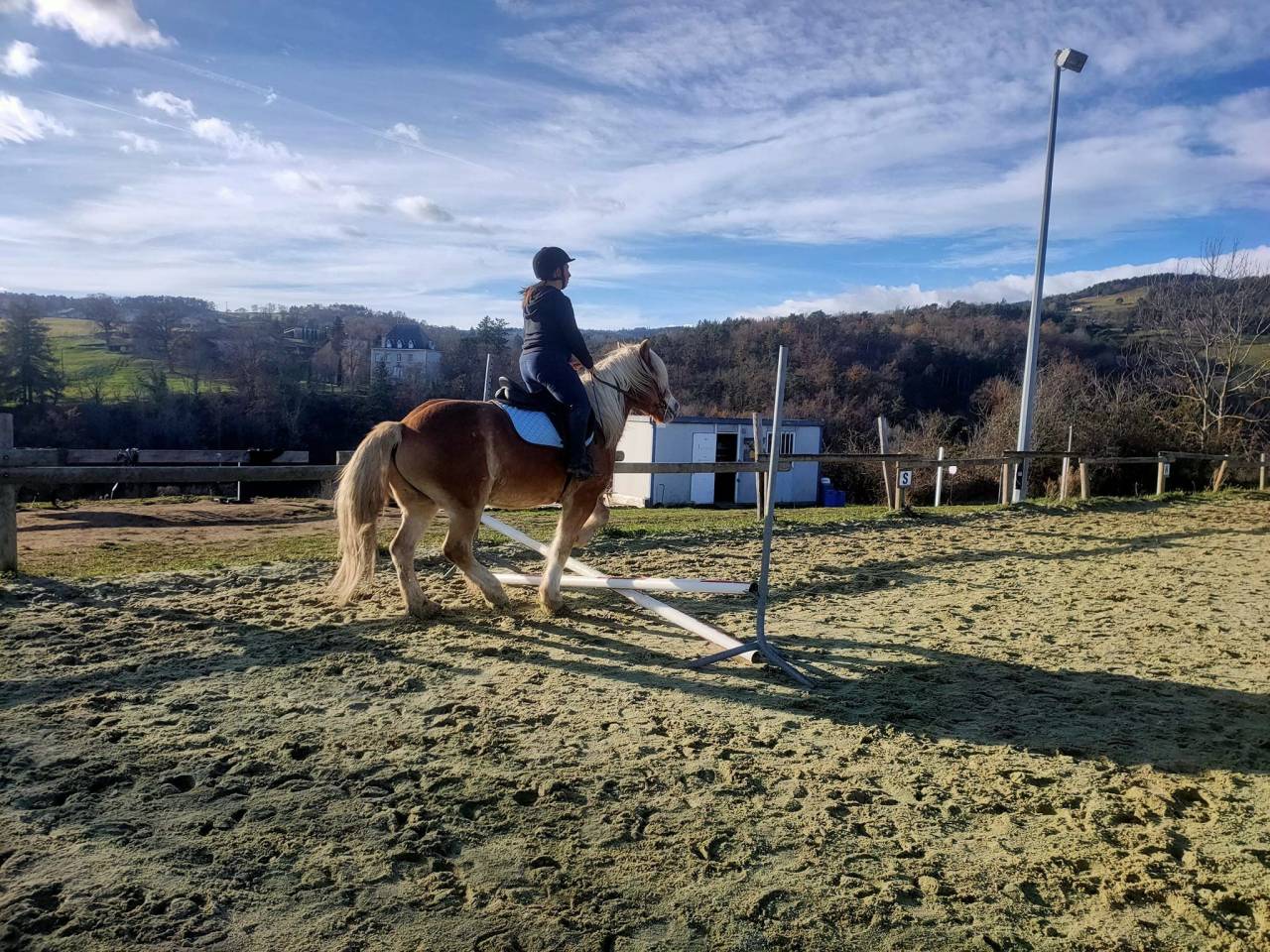 Hongre né en 2014 pour loisir