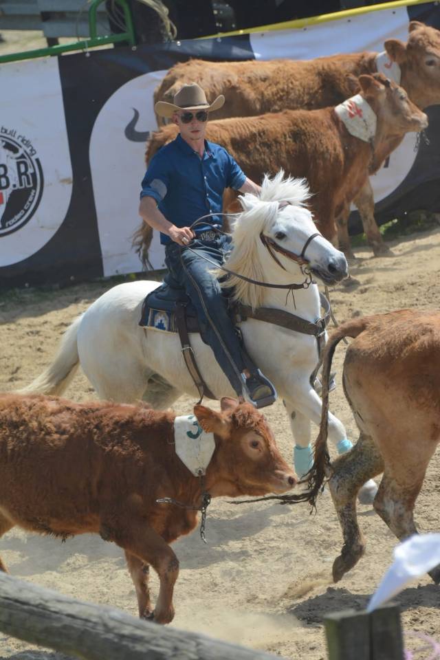 Billy : magnifique et polyvalent. 