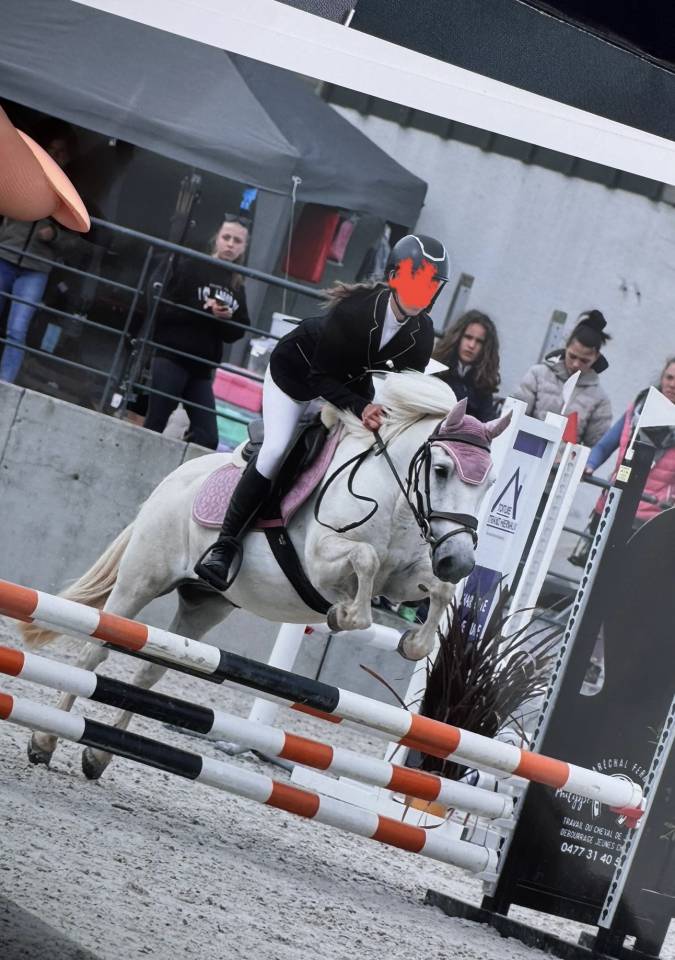 Billy : magnifique et polyvalent. 