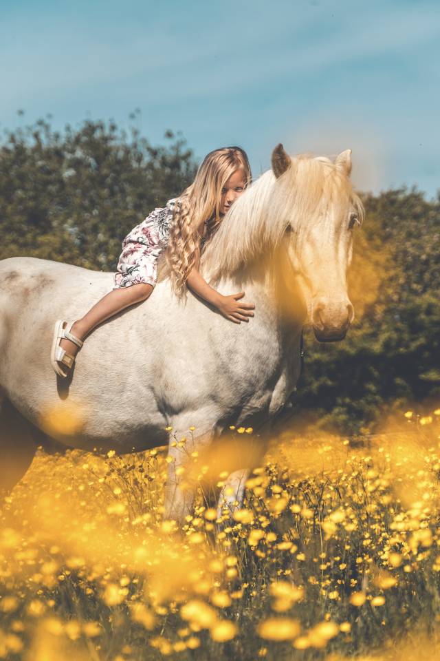 Billy : magnifique et polyvalent. 