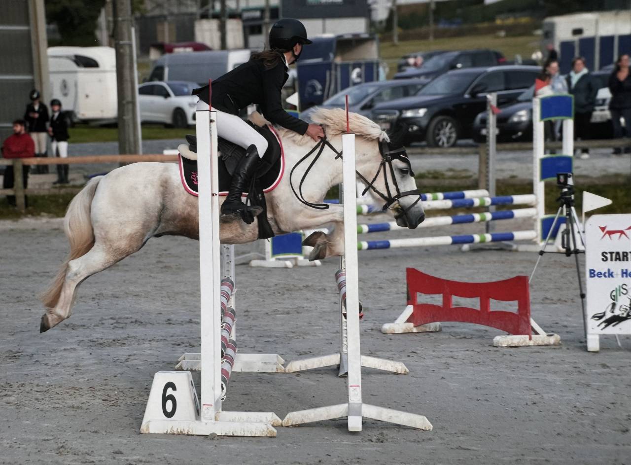 Billy : magnifique et polyvalent. 