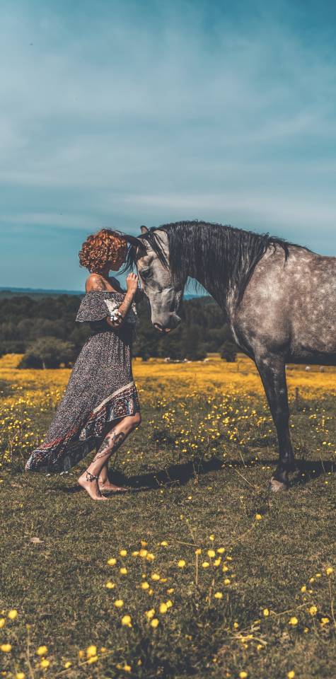 Magnifique jument PRE excellents papiers 