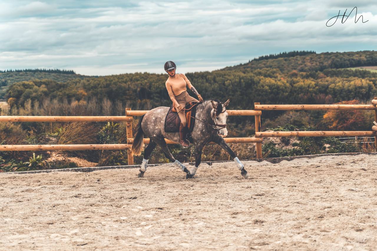 Magnifique jument PRE excellents papiers 