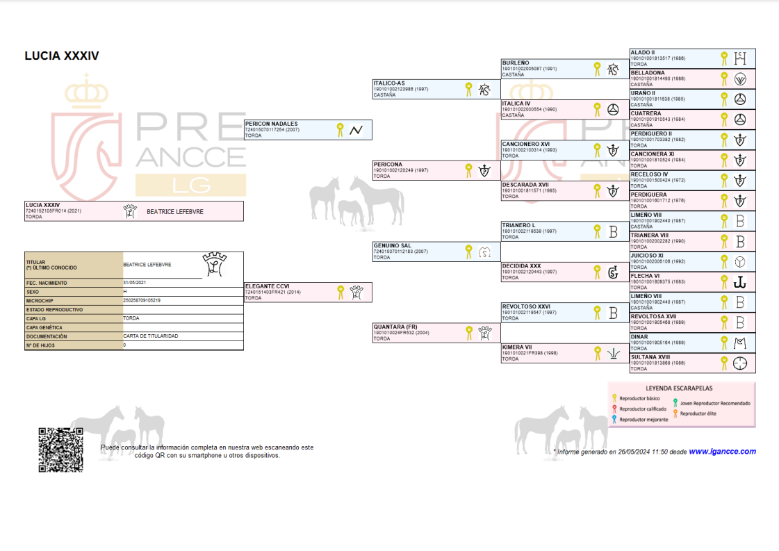 Jument PRE 4 ans Dressage