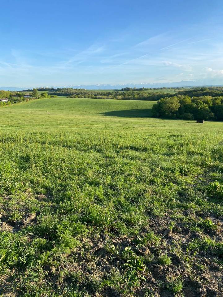 &Eacute;curies du Pr&eacute;v&ocirc;t 