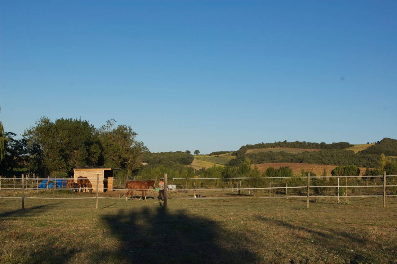 ? Pension chevaux – Bien-être et nature