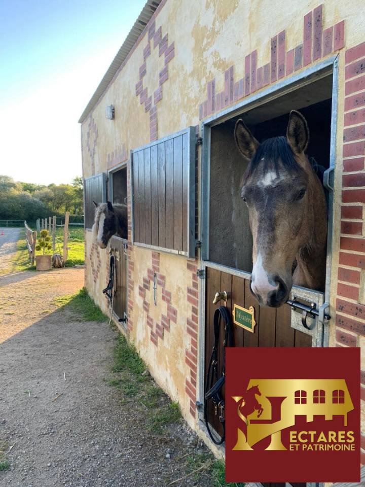Propriété équestre, Maison 130 M2, 2 hectares, boxes et carrières.