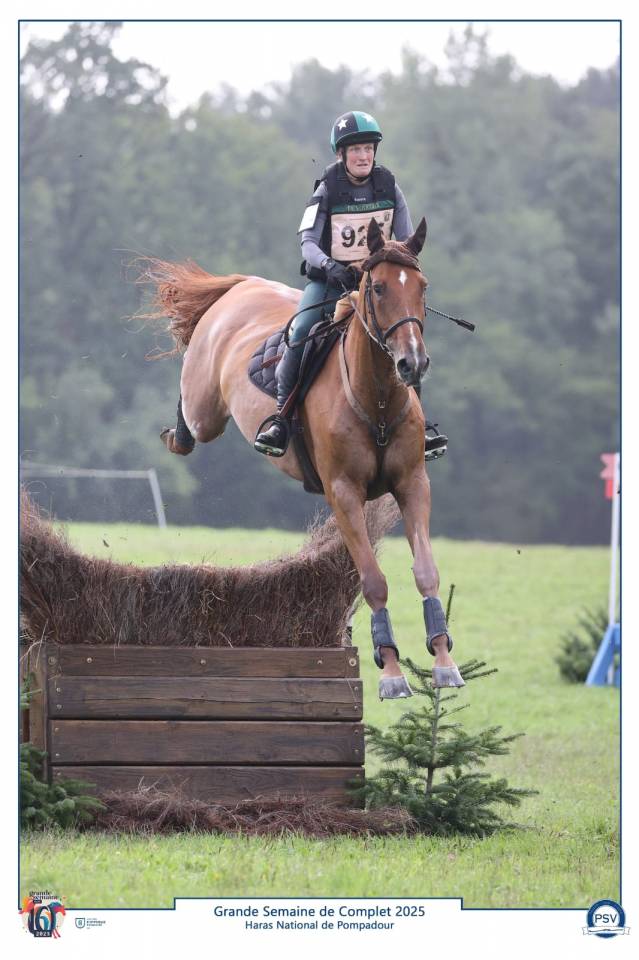 Hongre 6 ans CCE/CSO