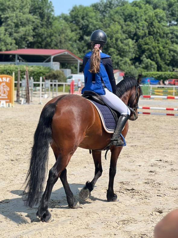 Poney CSO 7 ans 