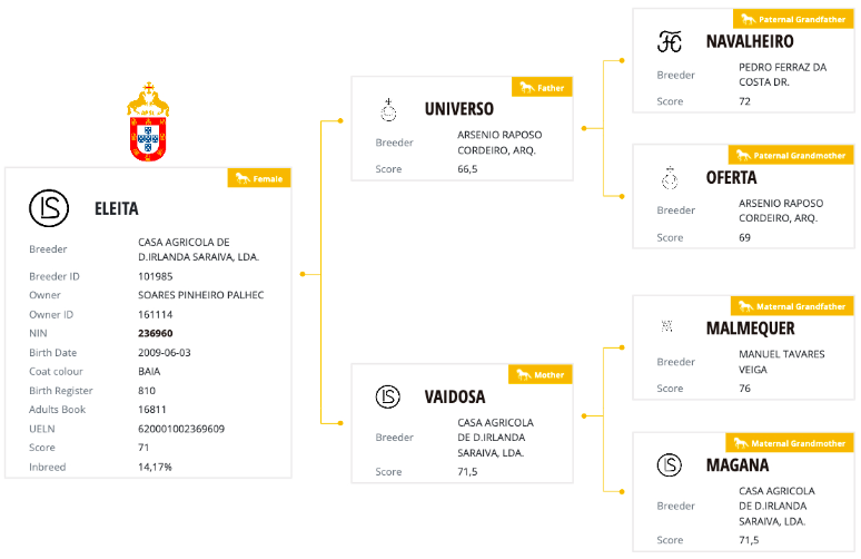 Jument PSL poulinière 