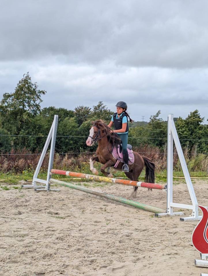 Game Over : le petit poney trop mignon