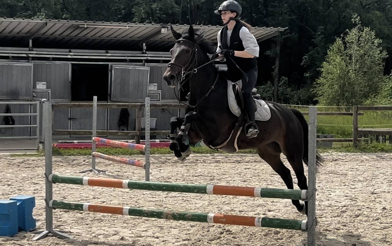 Veni vidi vici Z 5 ans