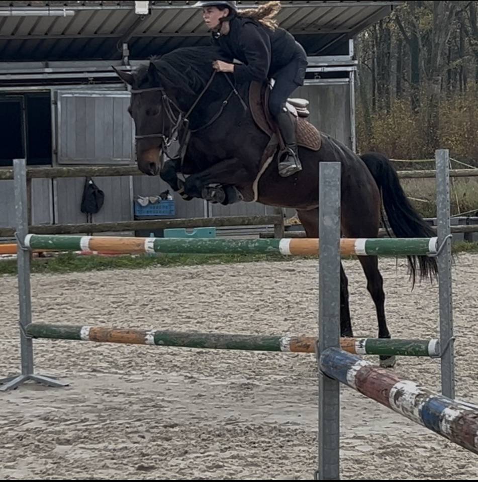 Veni vidi vici Z 5 ans