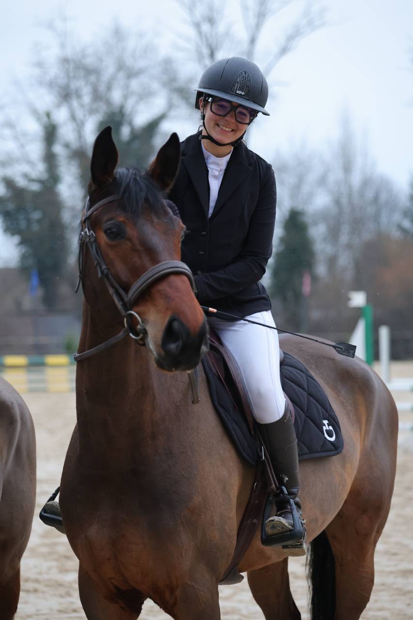 À vendre : hongre oc 8ans 