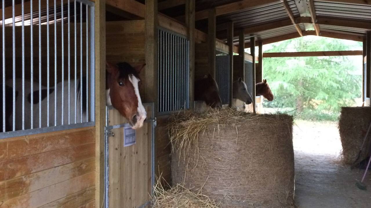 Propriété équestre et touristque - Gers (32)