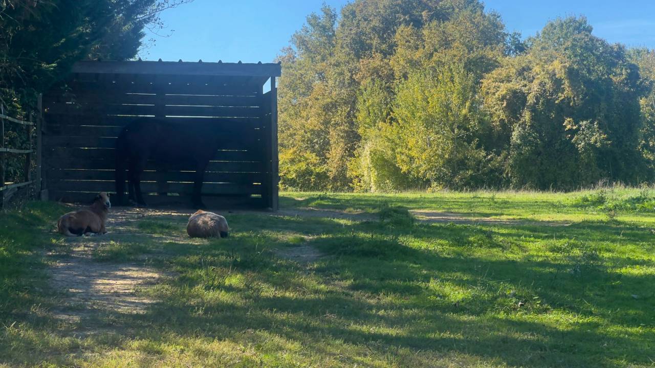 Propriété équestre et touristque - Gers (32)