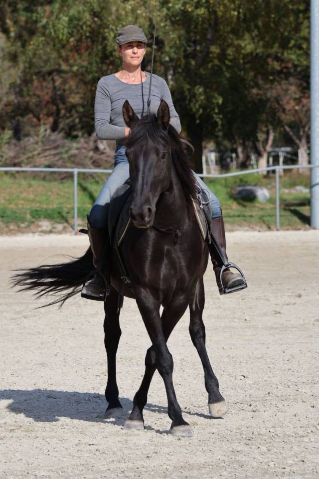 Jument noir à vendre !
