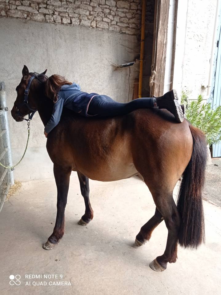 Magnifique ponette DSA PP