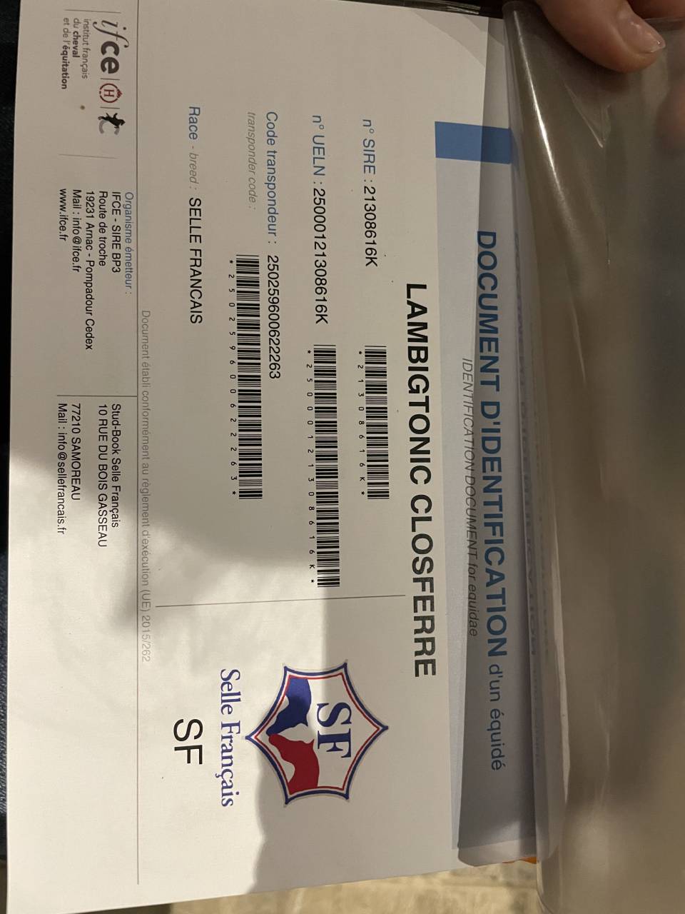 Magnifique entier de 4 ans par Diarado