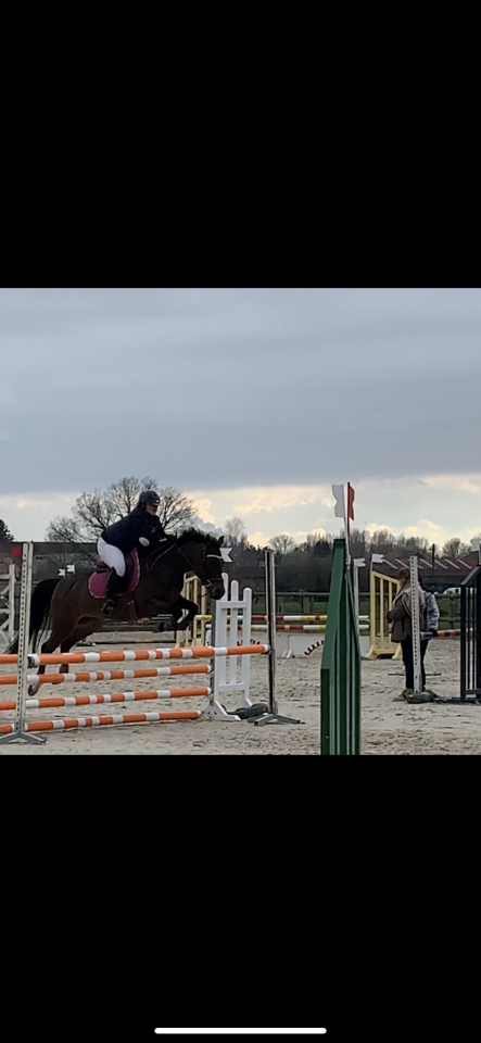 Jument 1m45 de 11 ans