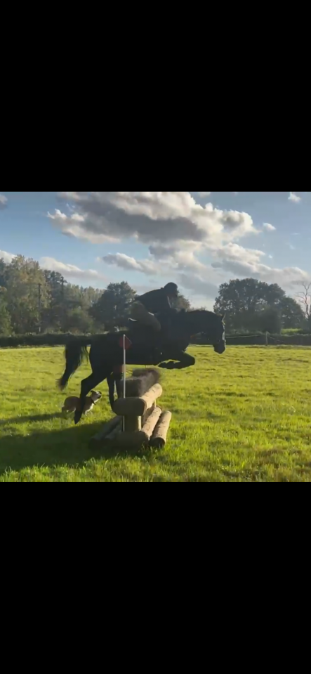 Jument 1m45 de 11 ans