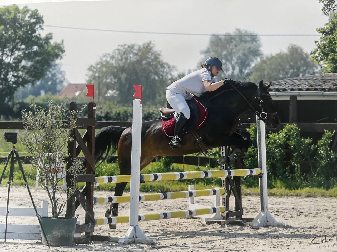 Jument 1m45 de 11 ans