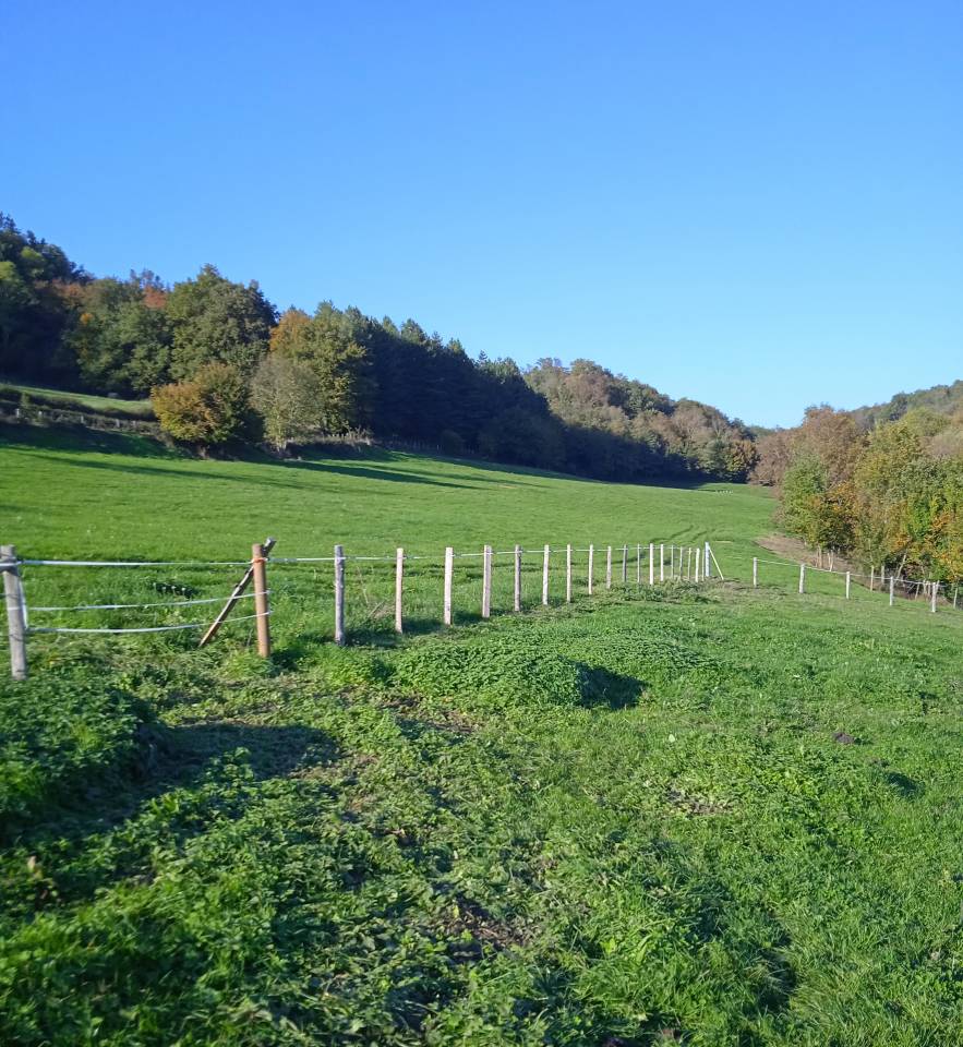 Place au pré pour cheval  à Cour-et-Buis