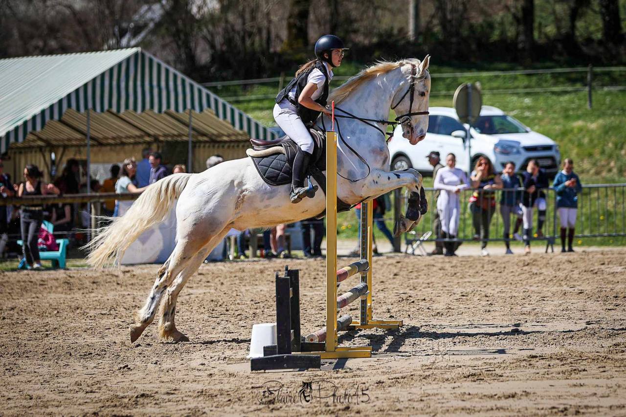 Hongre de 10 ans CSO