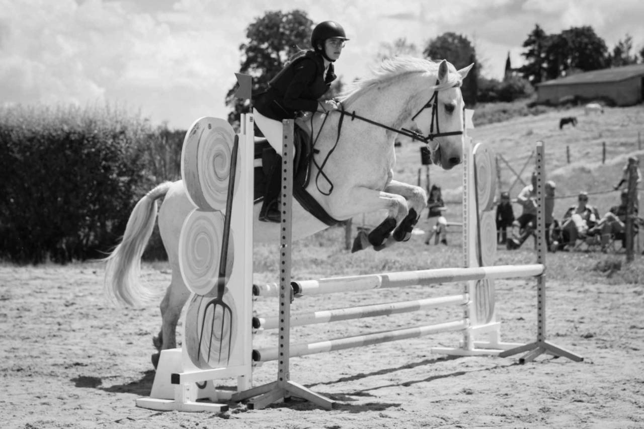 Jument de loisirs de 21 ans