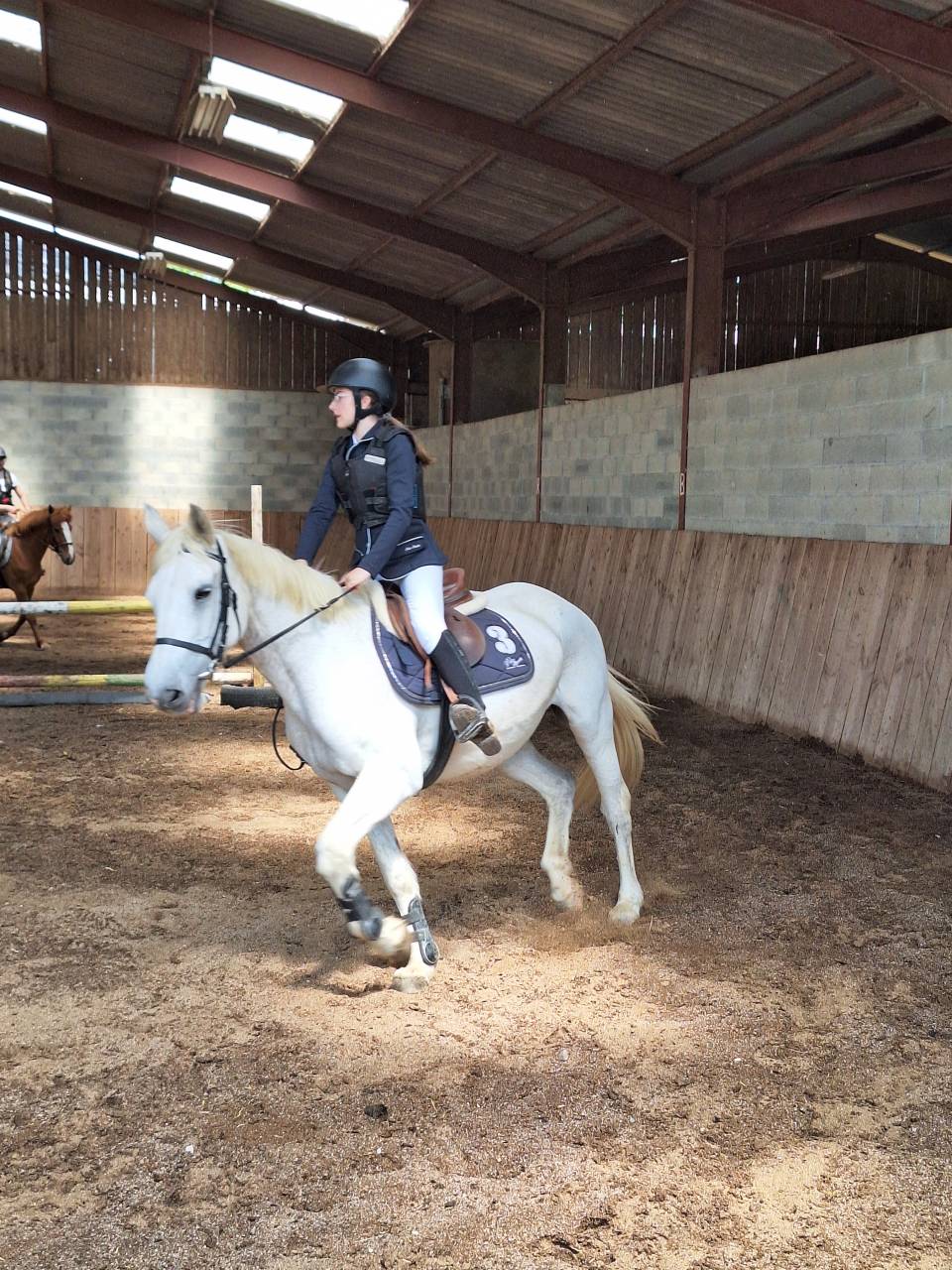 Jument de loisirs de 21 ans