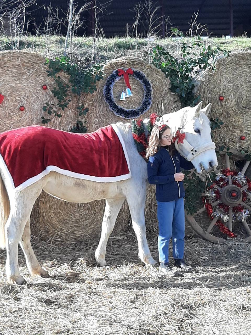 Jument de loisirs de 21 ans