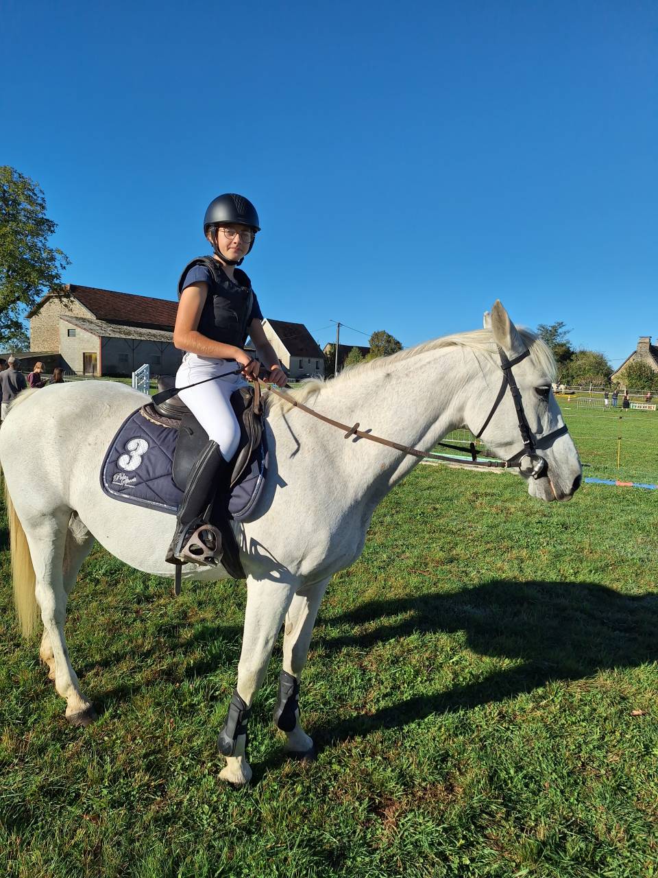 Jument de loisirs de 21 ans