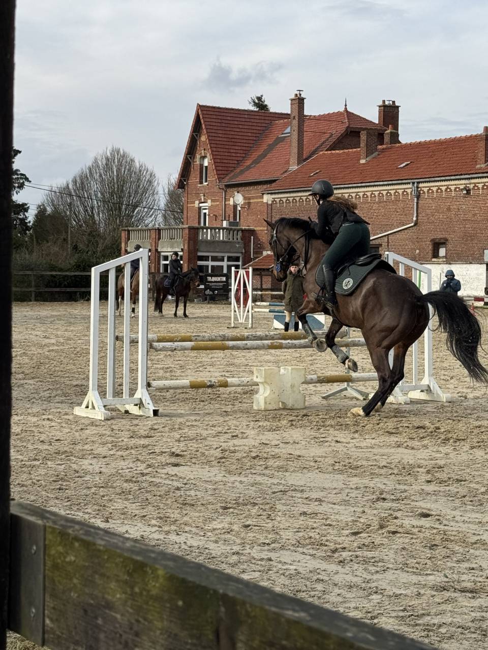 Jument selle français CSO