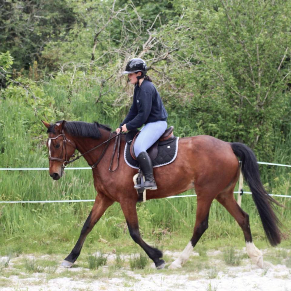 Cavalière Enseignante Indépendante 