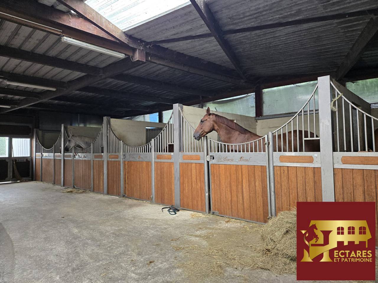 Domaine équestre à 25 kms de PARIS