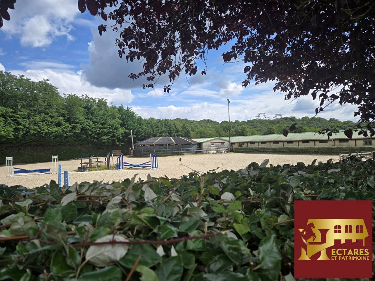 Domaine équestre à 25 kms de PARIS