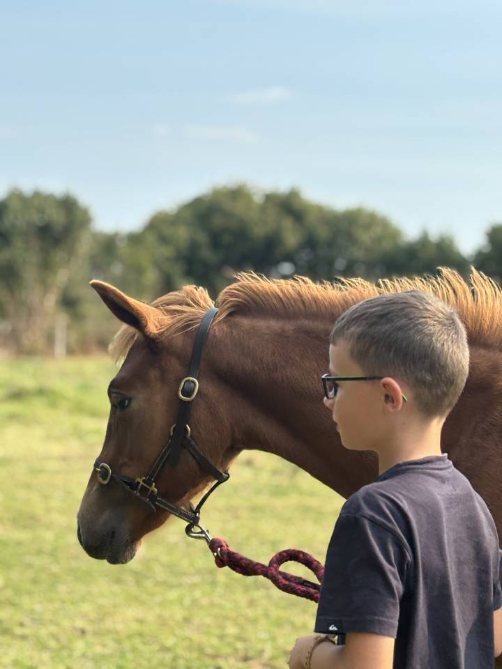 Poulain PFS par Quabar des Monceaux 