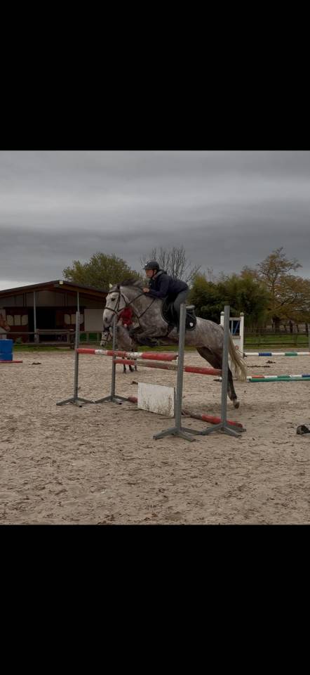 Ponette plein papier new forest 5ans 