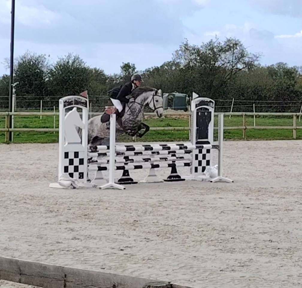 Ponette plein papier new forest 5ans 