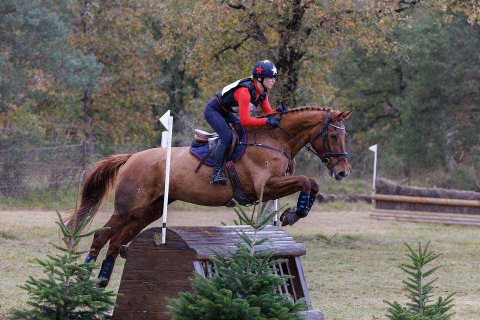 Jument CCE maitre d’ecole