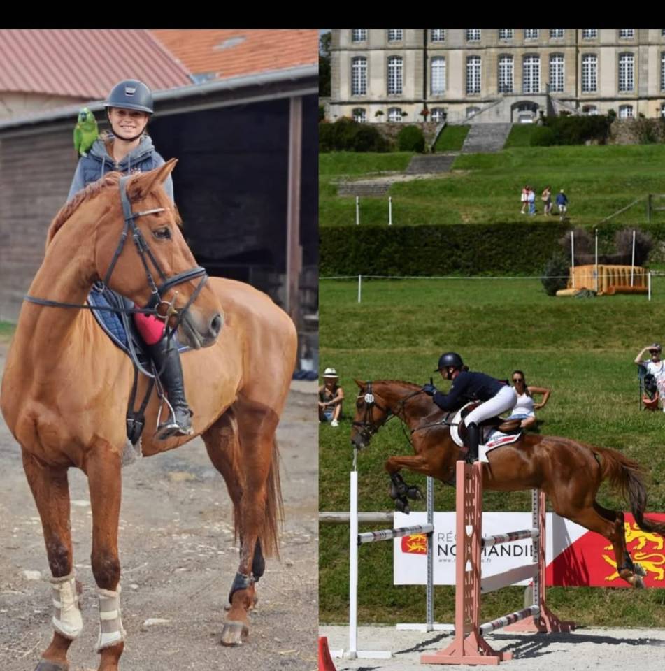 Jument CCE maitre d’ecole