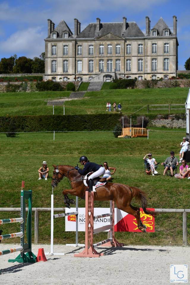 Jument CCE maitre d’ecole