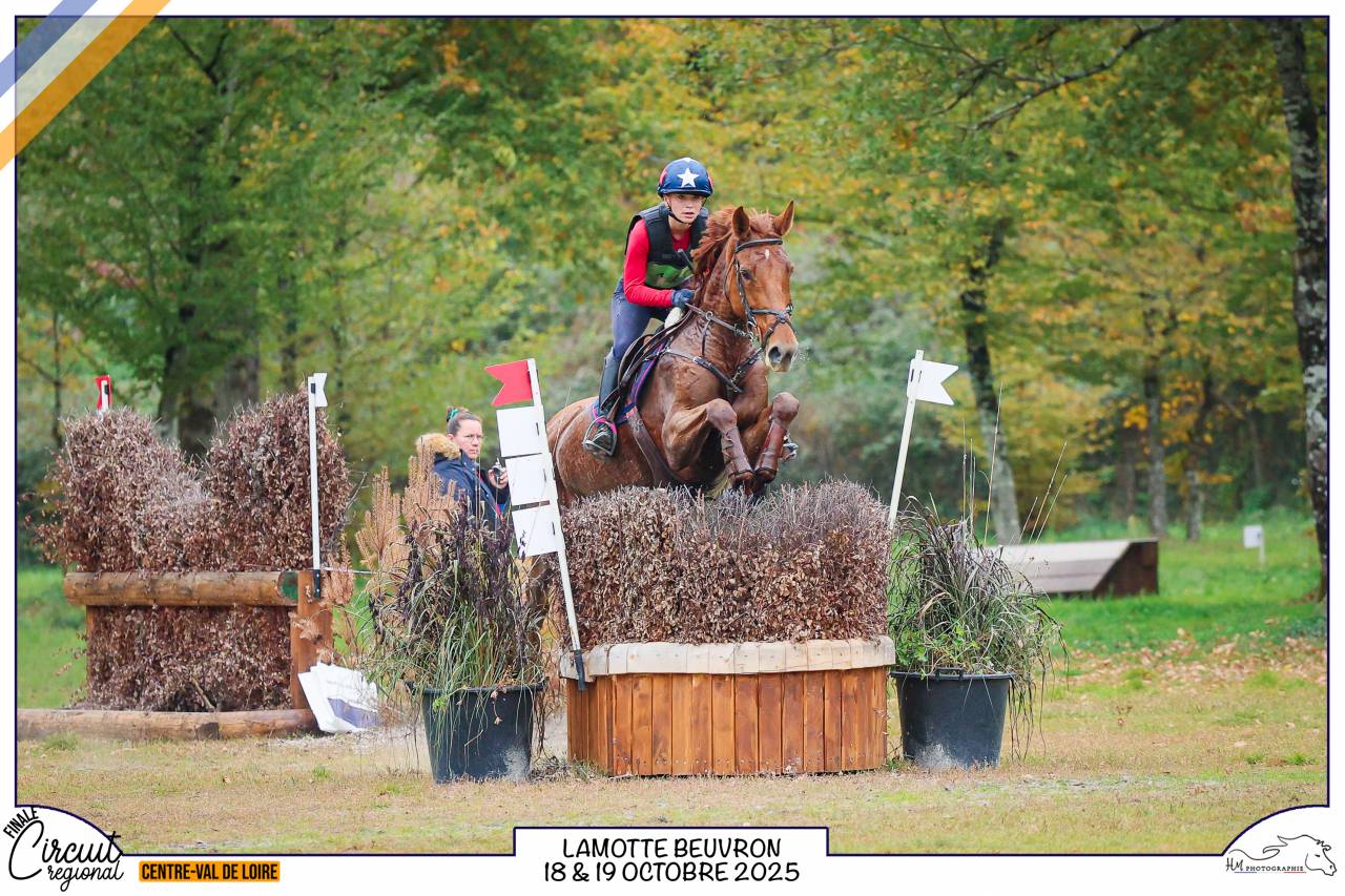 Jument CCE maitre d’ecole