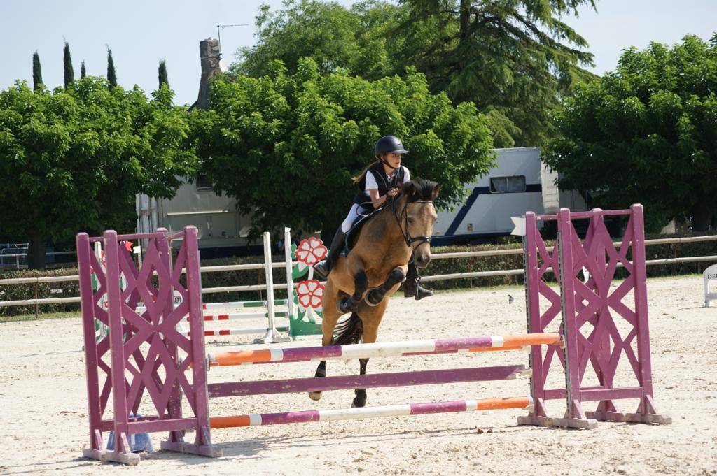 Poney Connemara Isabelle de 10 ans