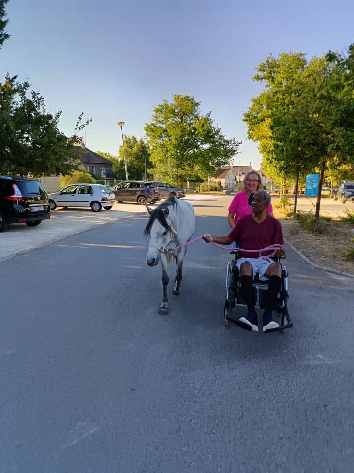 Ponette Welsh de 3 ans 